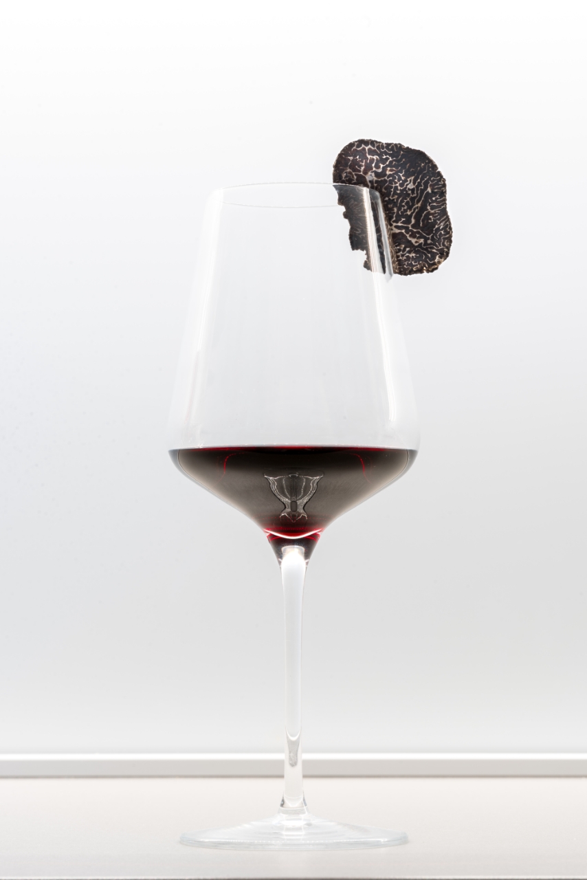 Truffle Hunting Zagreb